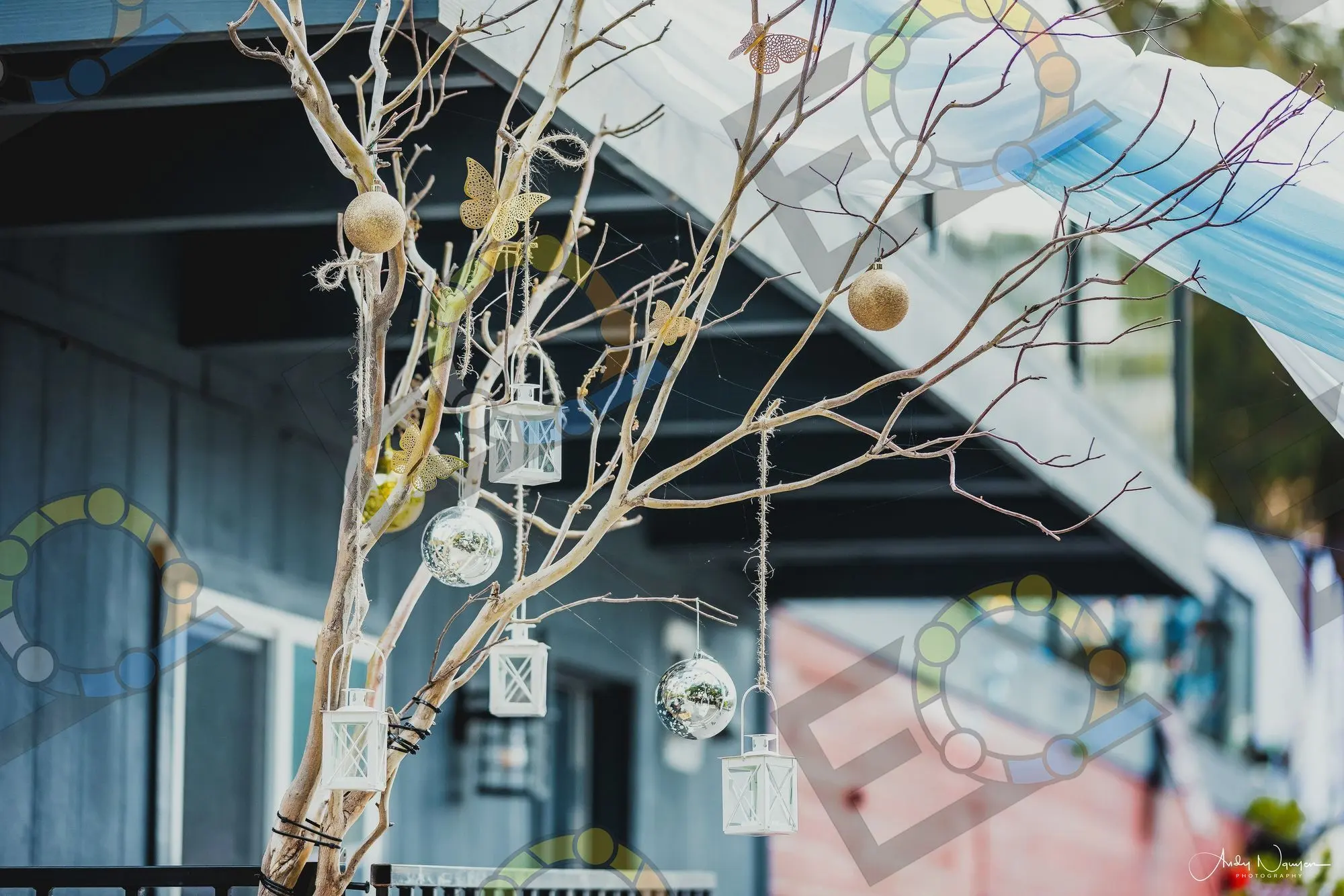 Lanterns and ornaments hung from bare branches