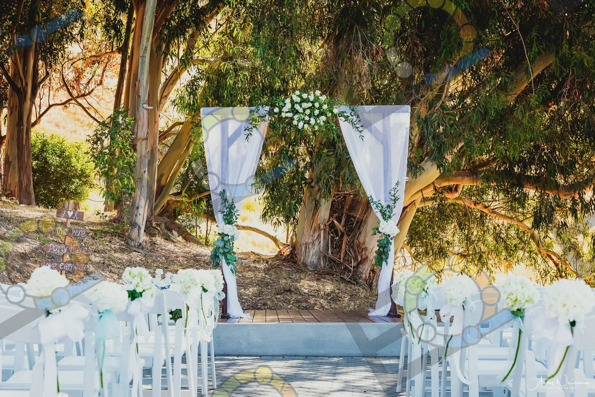 A draped ceremony arch beneath eucalyptus trees
