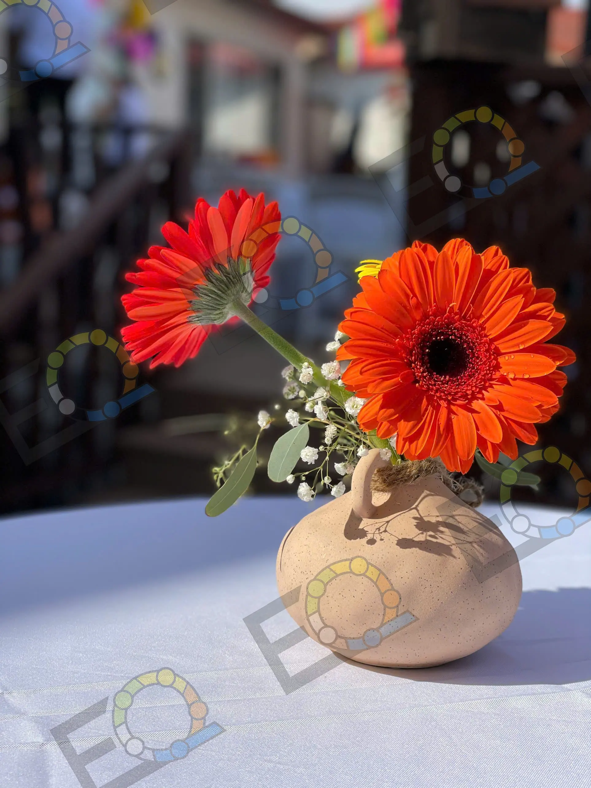 Orange gerberas in a small ceramic vase