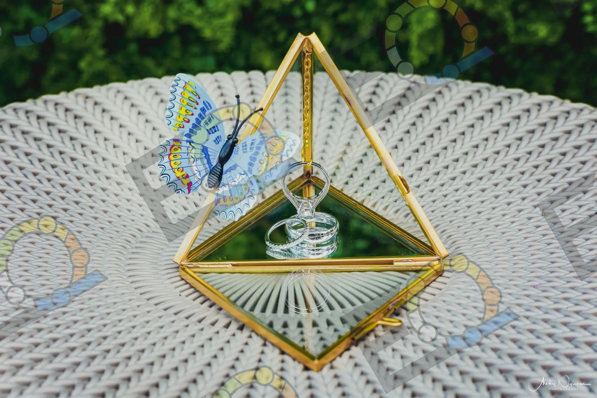 Rings in a gold geometric case beside a paper butterfly