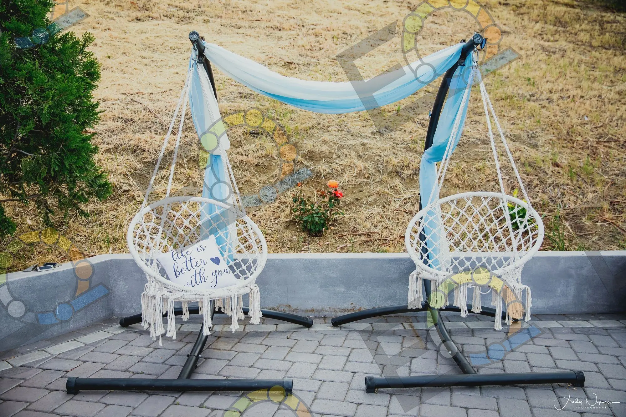 Two macrame swing chairs under a draped canopy