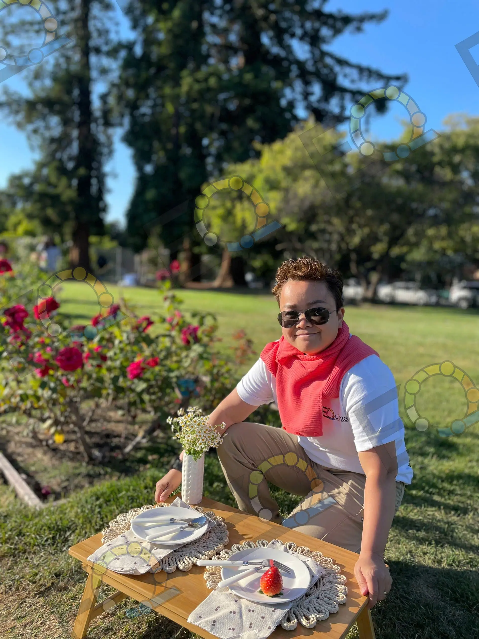 Setting up a picnic in a rose garden