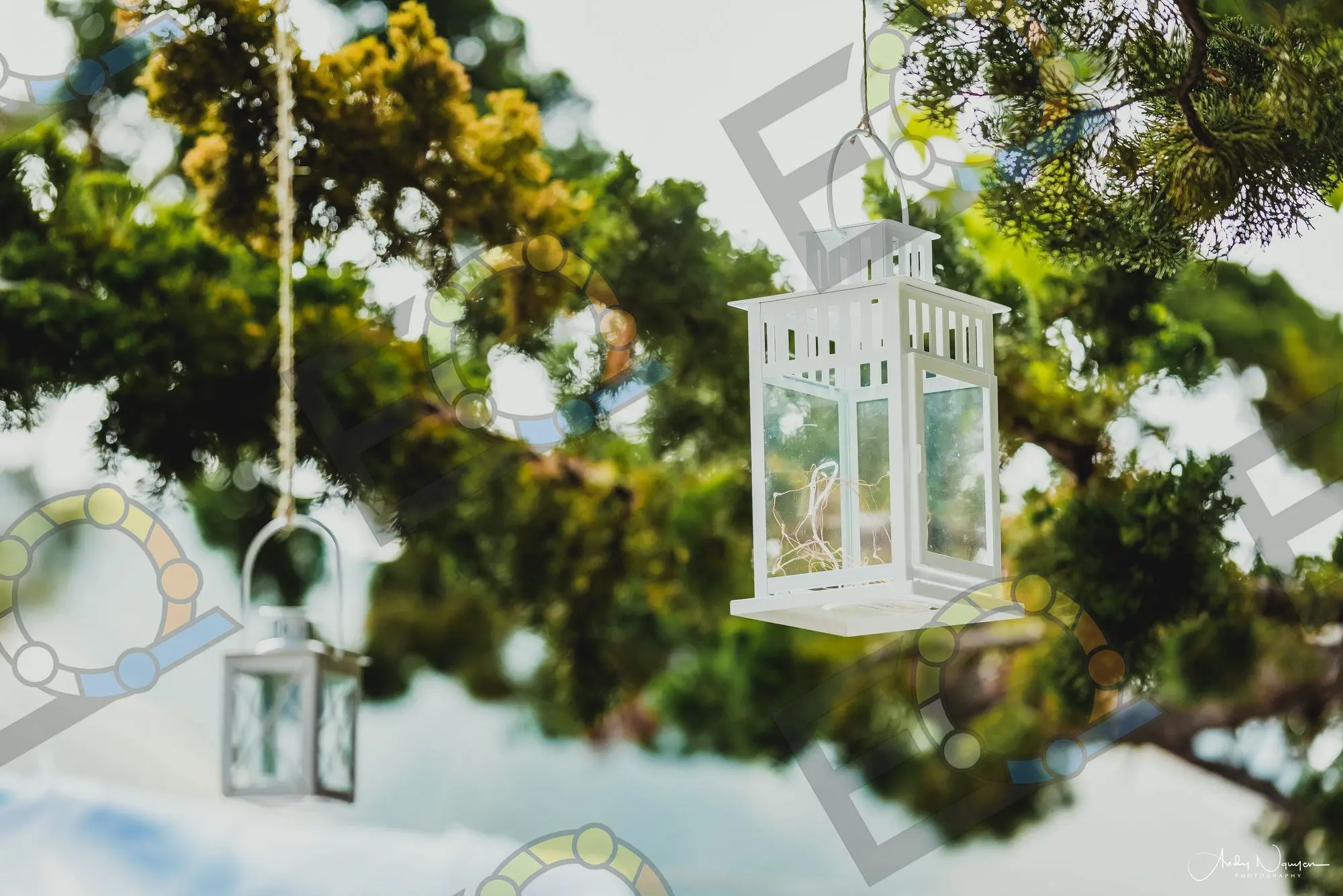 A white lantern hung in a tree above the ceremony