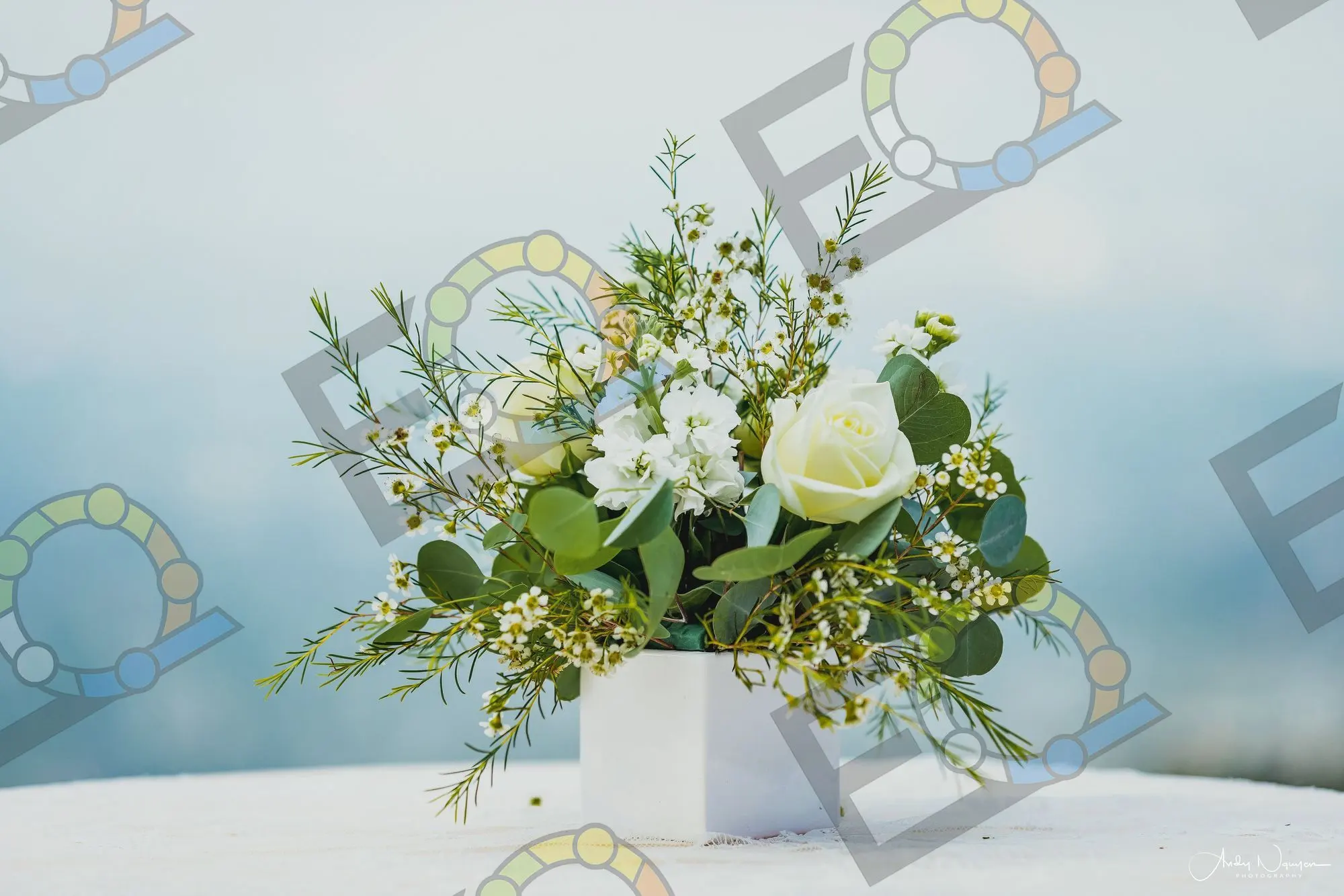 White roses and eucalyptus in a square box